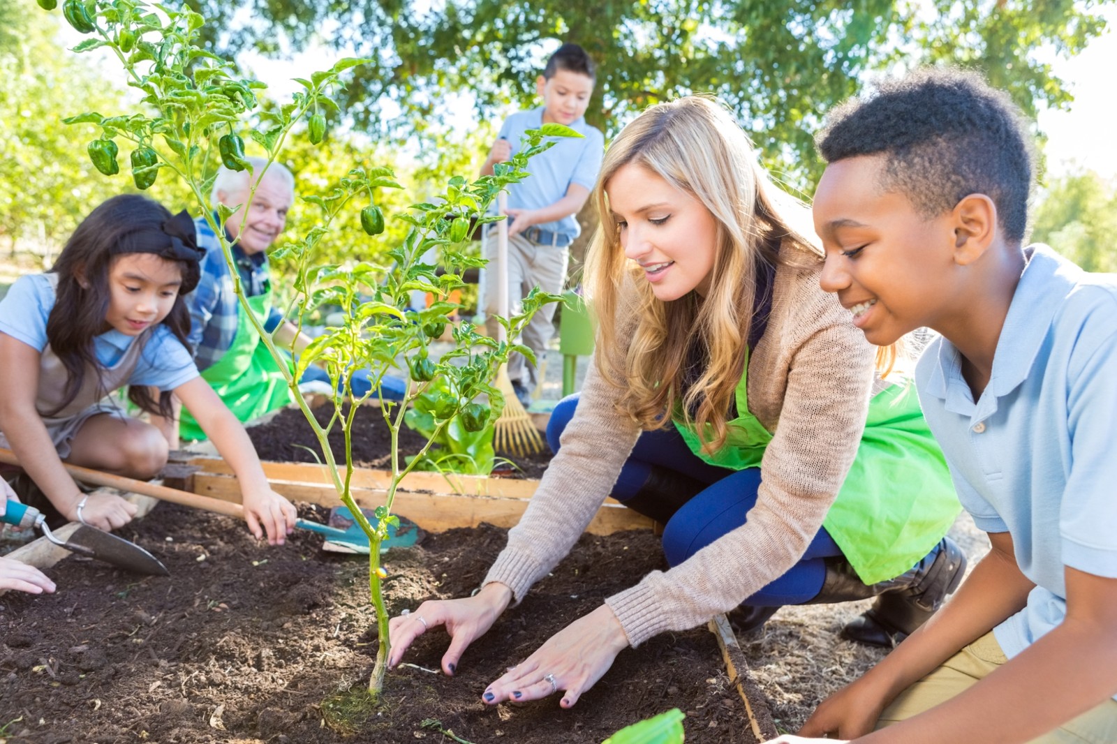 Students in uniform planting - iStock-494814842