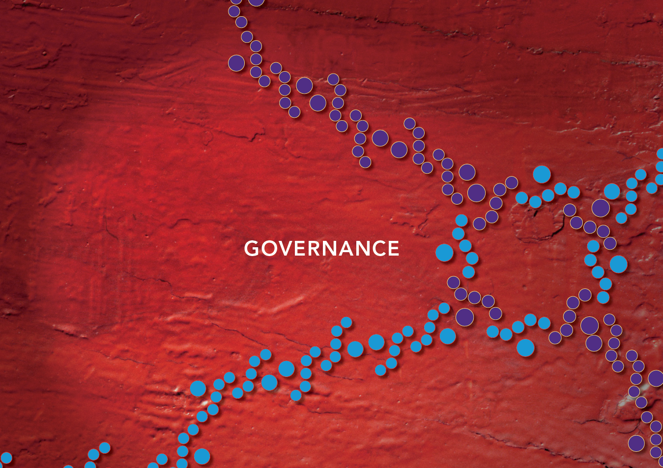 AISSA RAP governance 2019