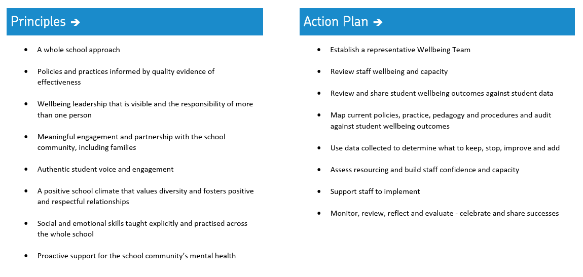 Overview of Principled and Action Plan 2024